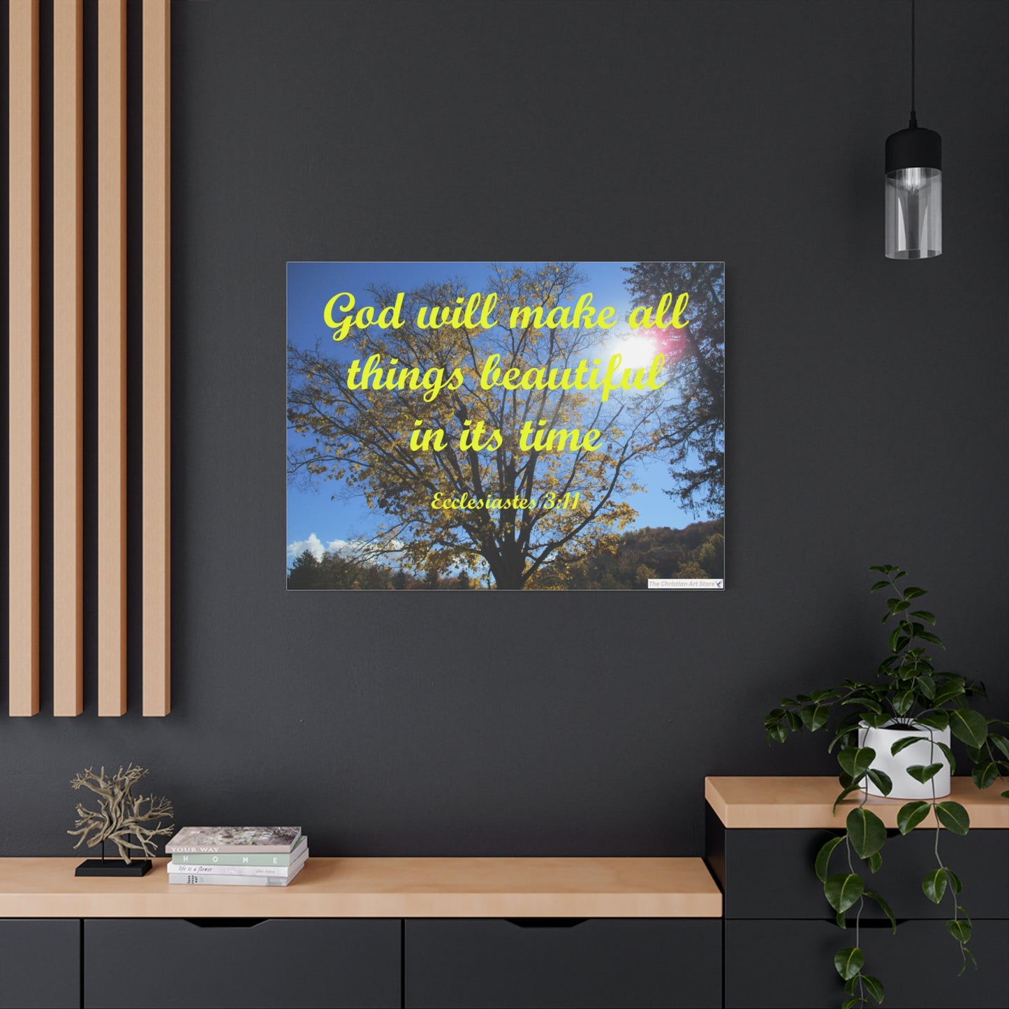 Ecclesiastes 3:11 Canvas