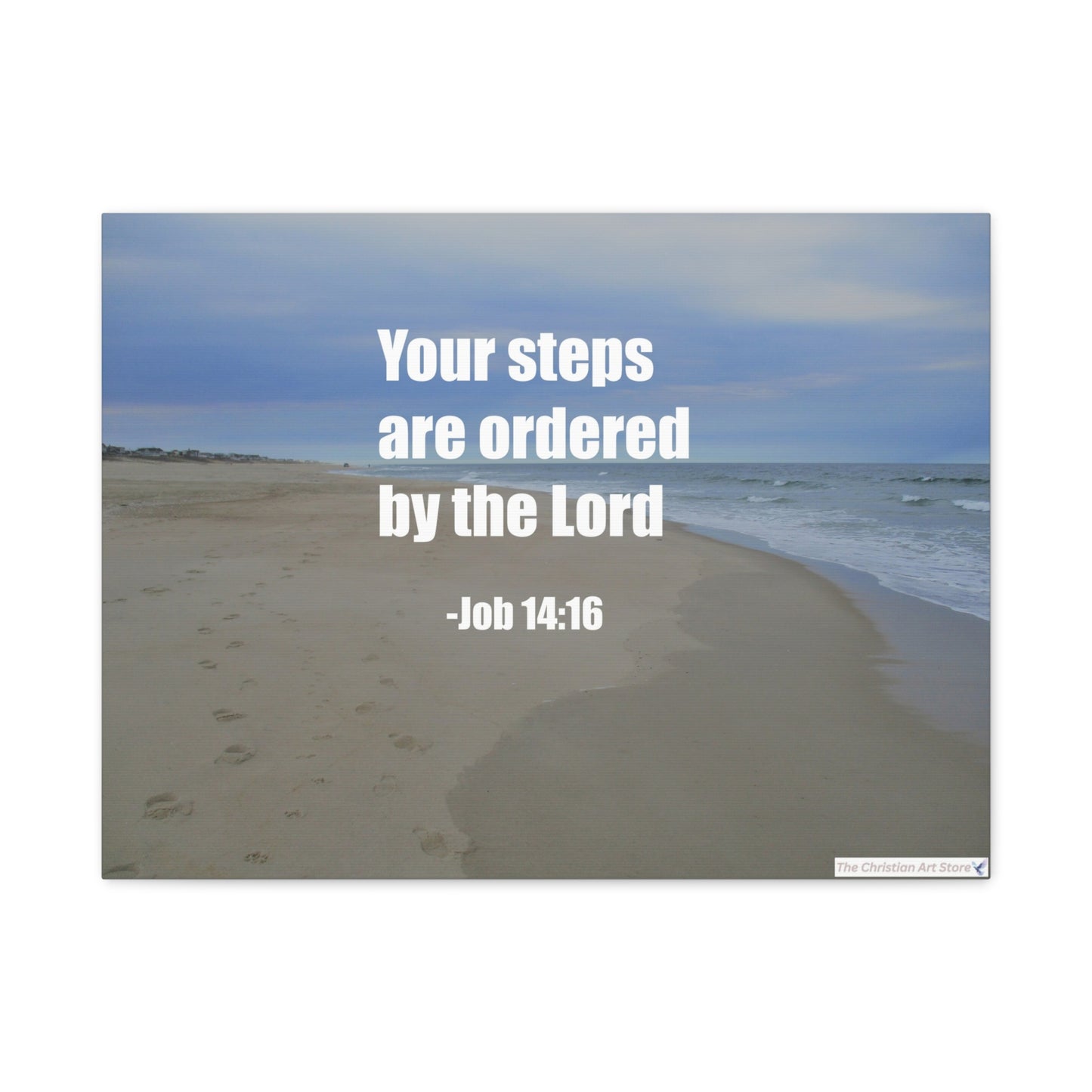 Job 14:16 Canvas