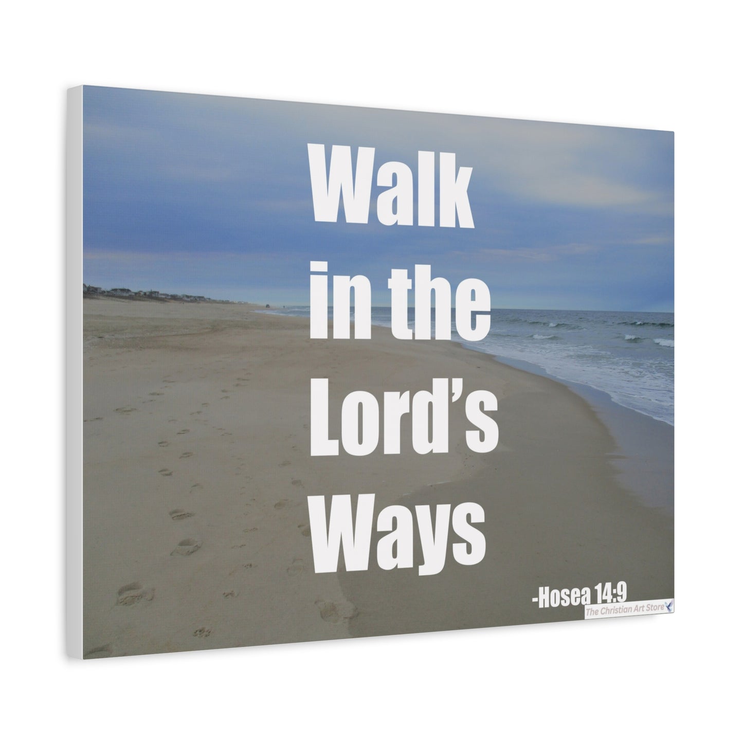 Hosea 14:9 Canvas