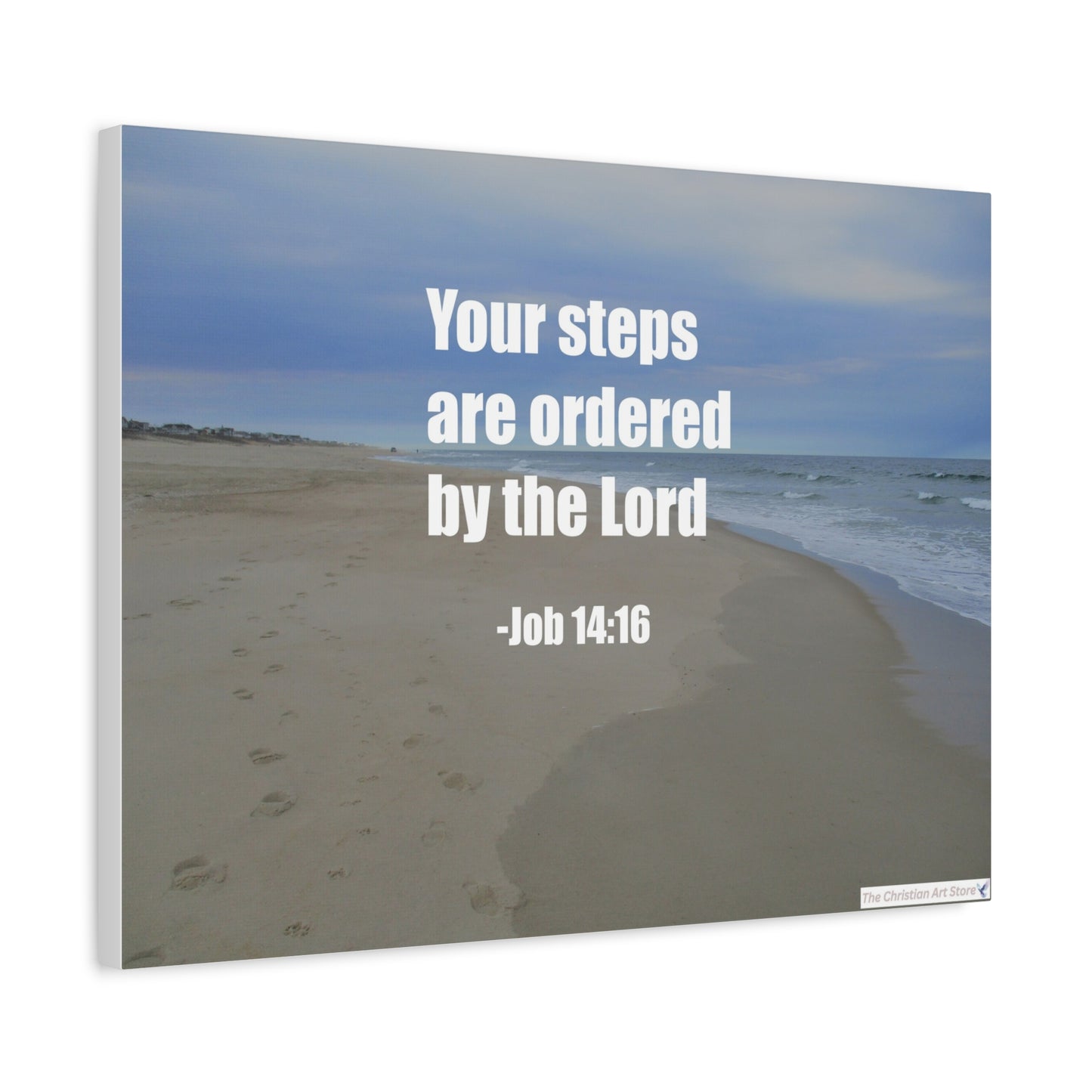 Job 14:16 Canvas