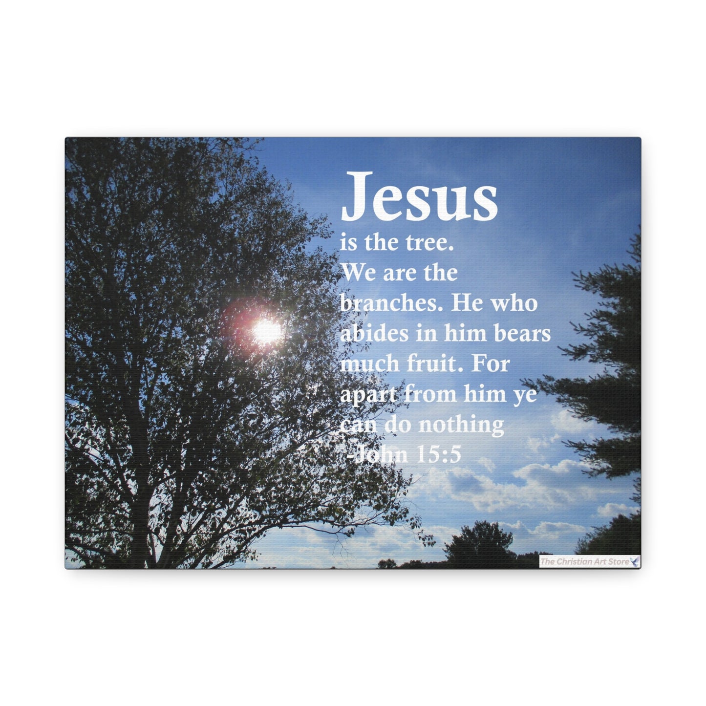 John 15:5 Canvas