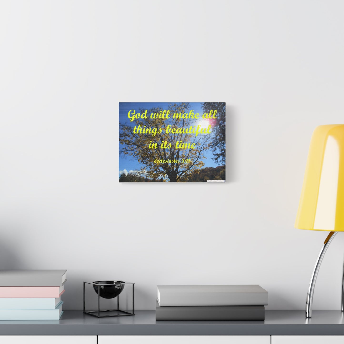 Ecclesiastes 3:11 Canvas