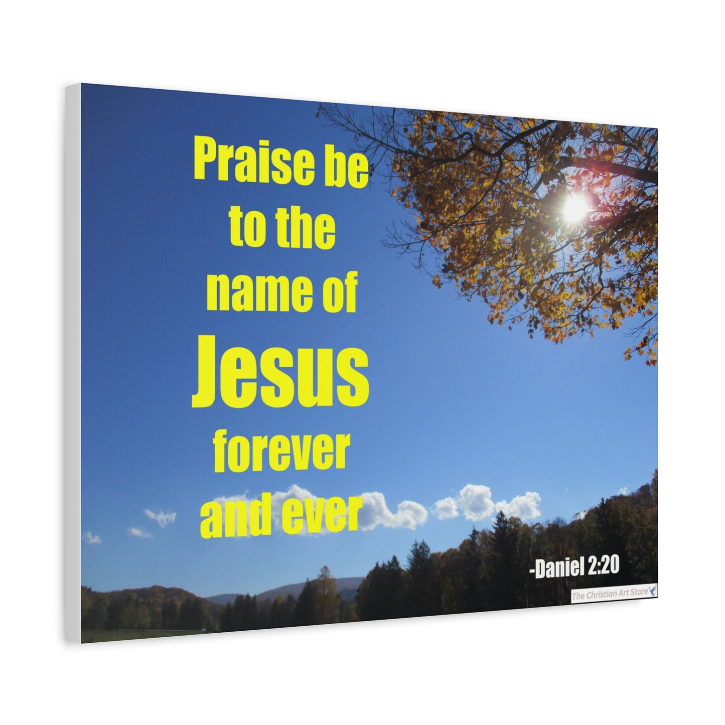 Daniel 2:20 Canvas
