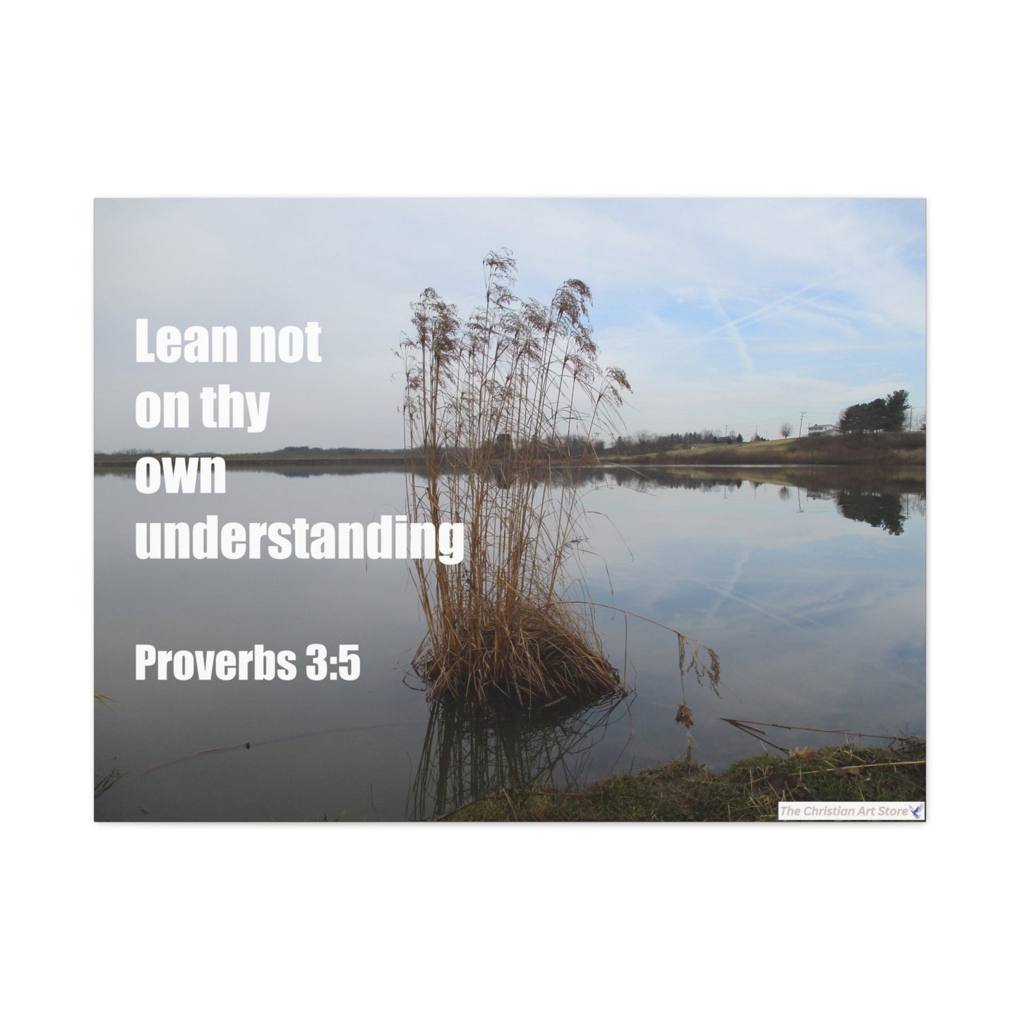 Proverbs 3:5 Canvas