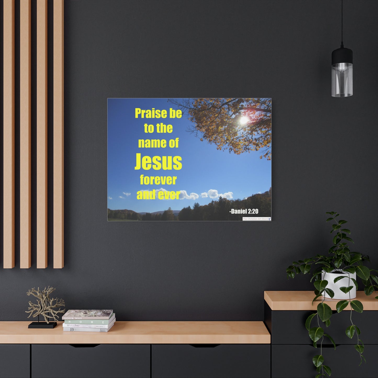 Daniel 2:20 Canvas
