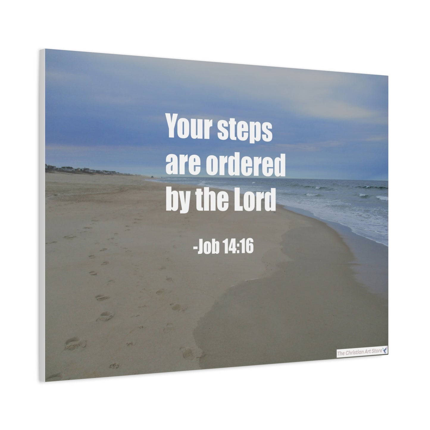 Job 14:16 Canvas