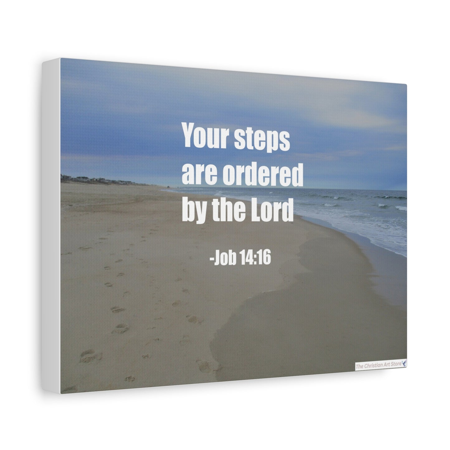 Job 14:16 Canvas