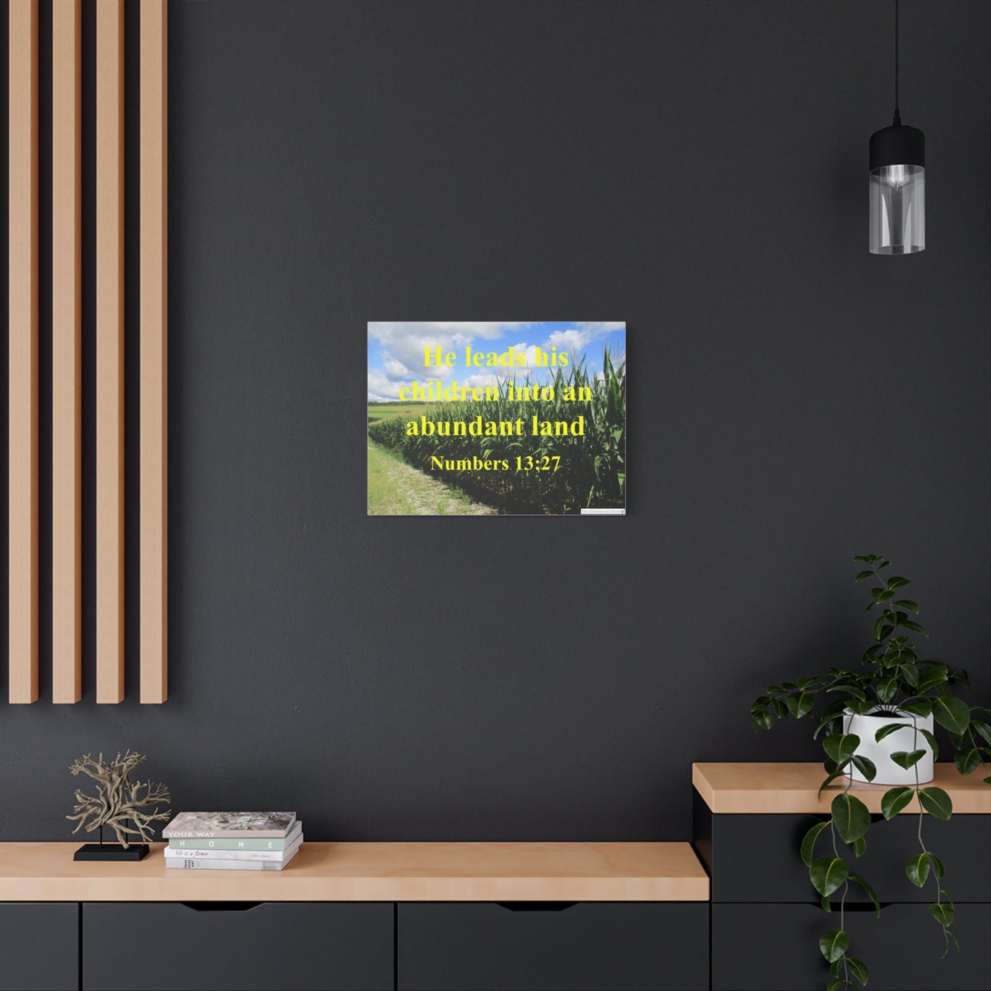 Numbers 13:27 Canvas