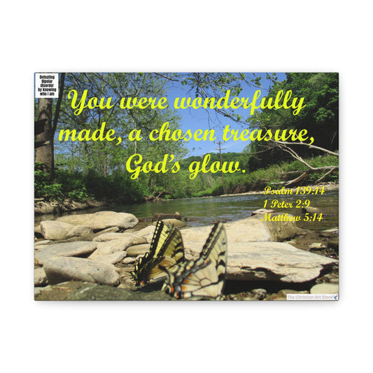 Defeating bipolar disorder canvas