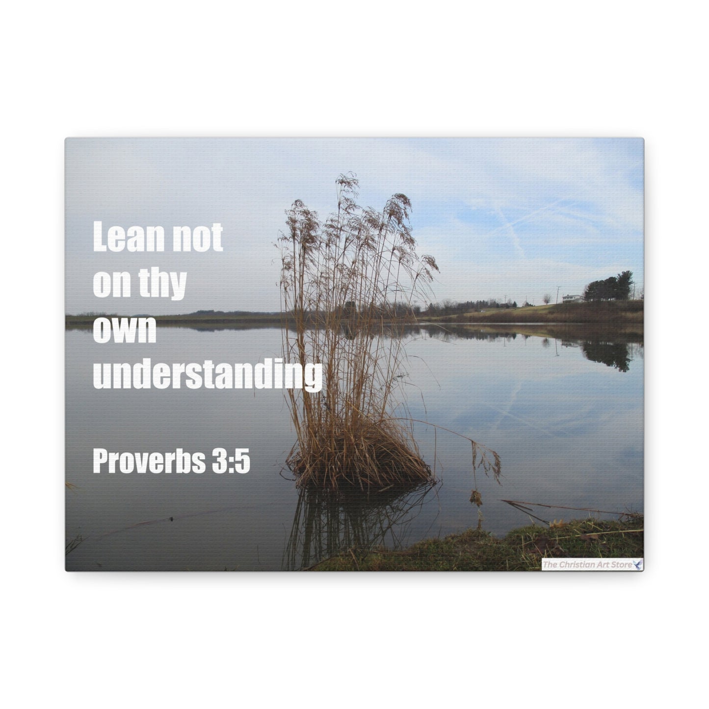 Proverbs 3:5 Canvas