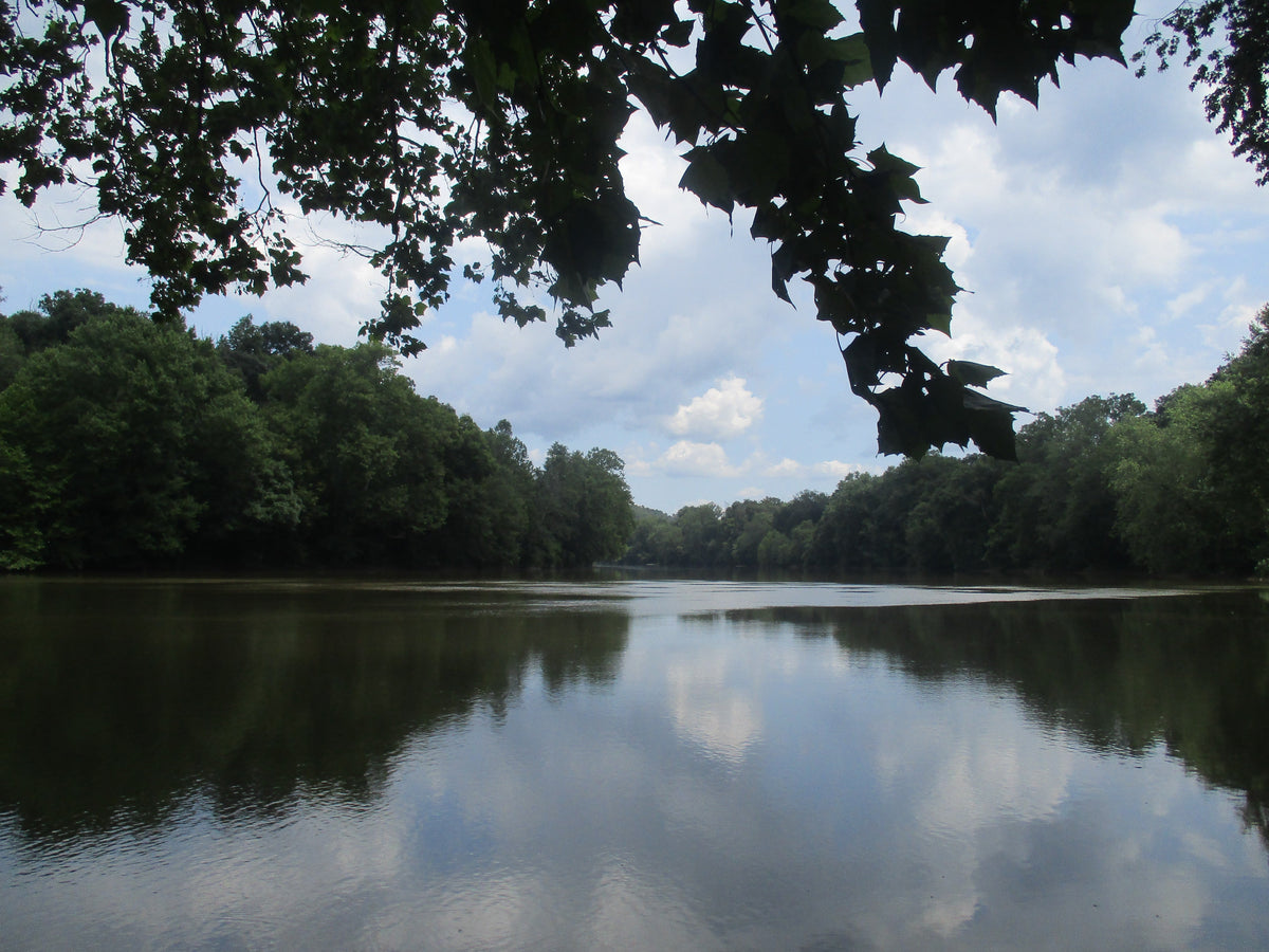 Rivers