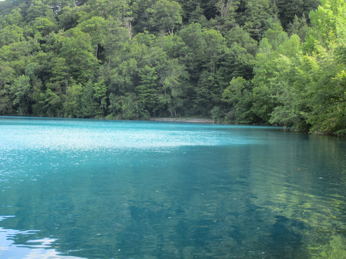 Meromictic Lake