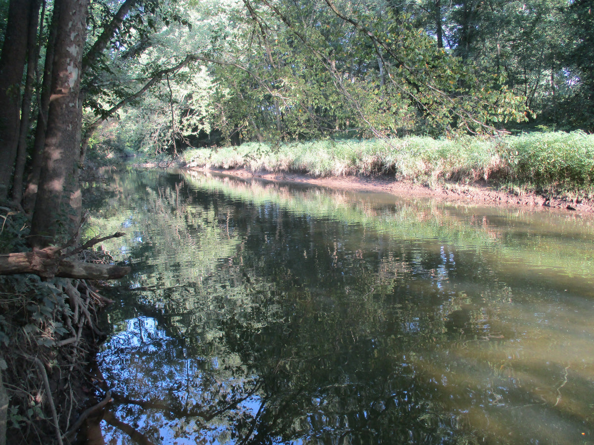 Streams