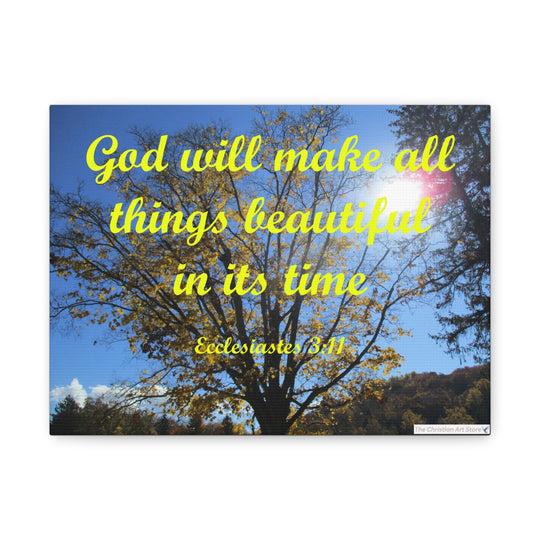 Ecclesiastes 3:11 Canvas