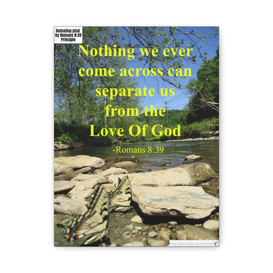 Defeating ptsd canvas