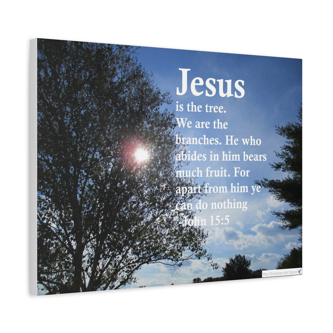 John 15:5 Canvas