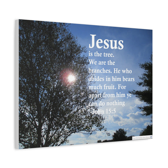John 15:5 Canvas