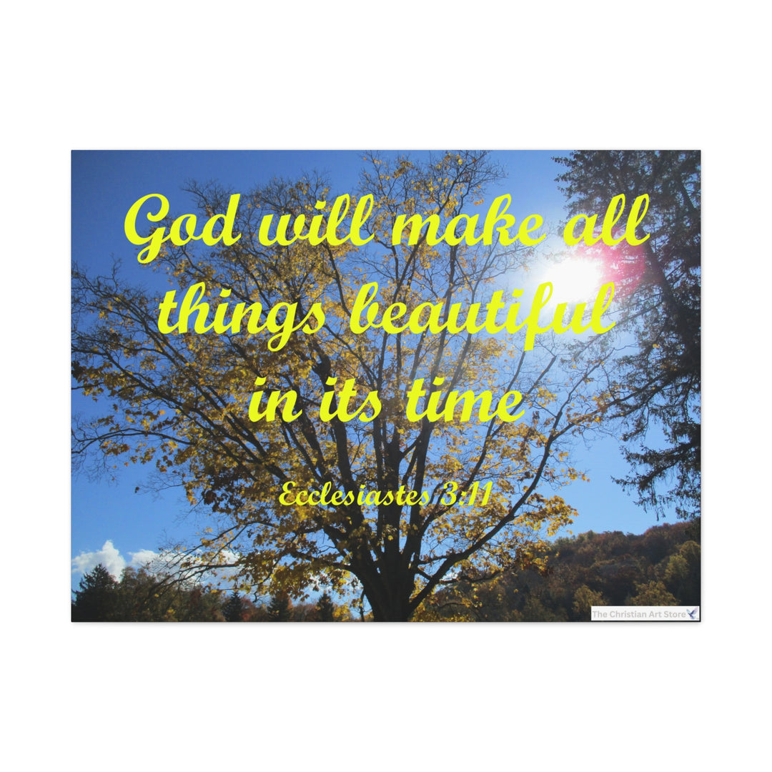 Ecclesiastes 3:11 Canvas