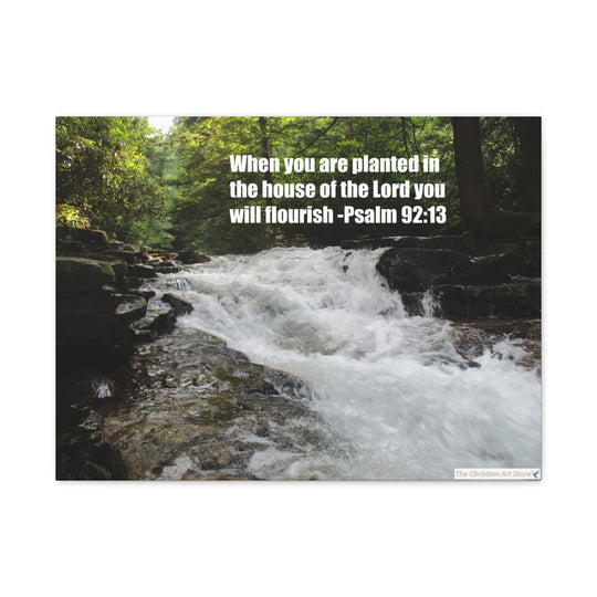 Psalm 92:13 Canvas
