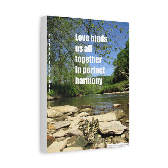 Colossians 3:14 Option 2 Canvas