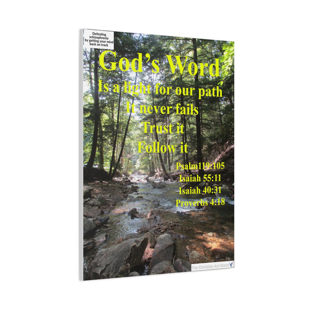 Defeating schizophrenia canvas