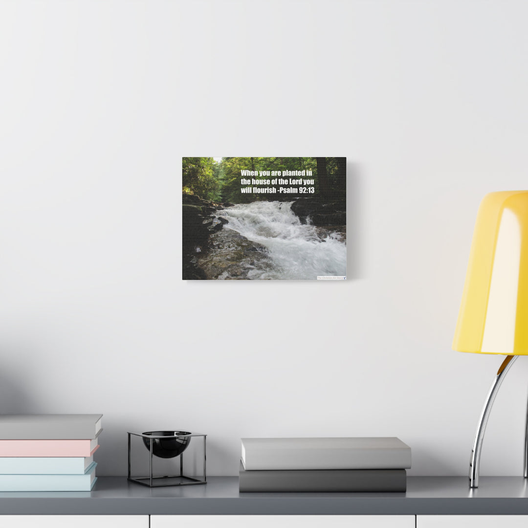 Psalm 92:13 Canvas