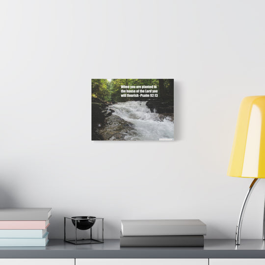 Psalm 92:13 Canvas