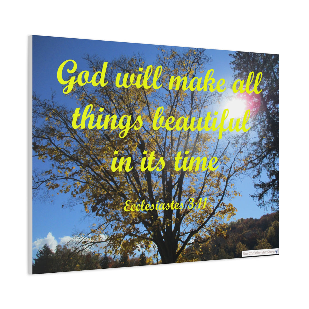 Ecclesiastes 3:11 Canvas