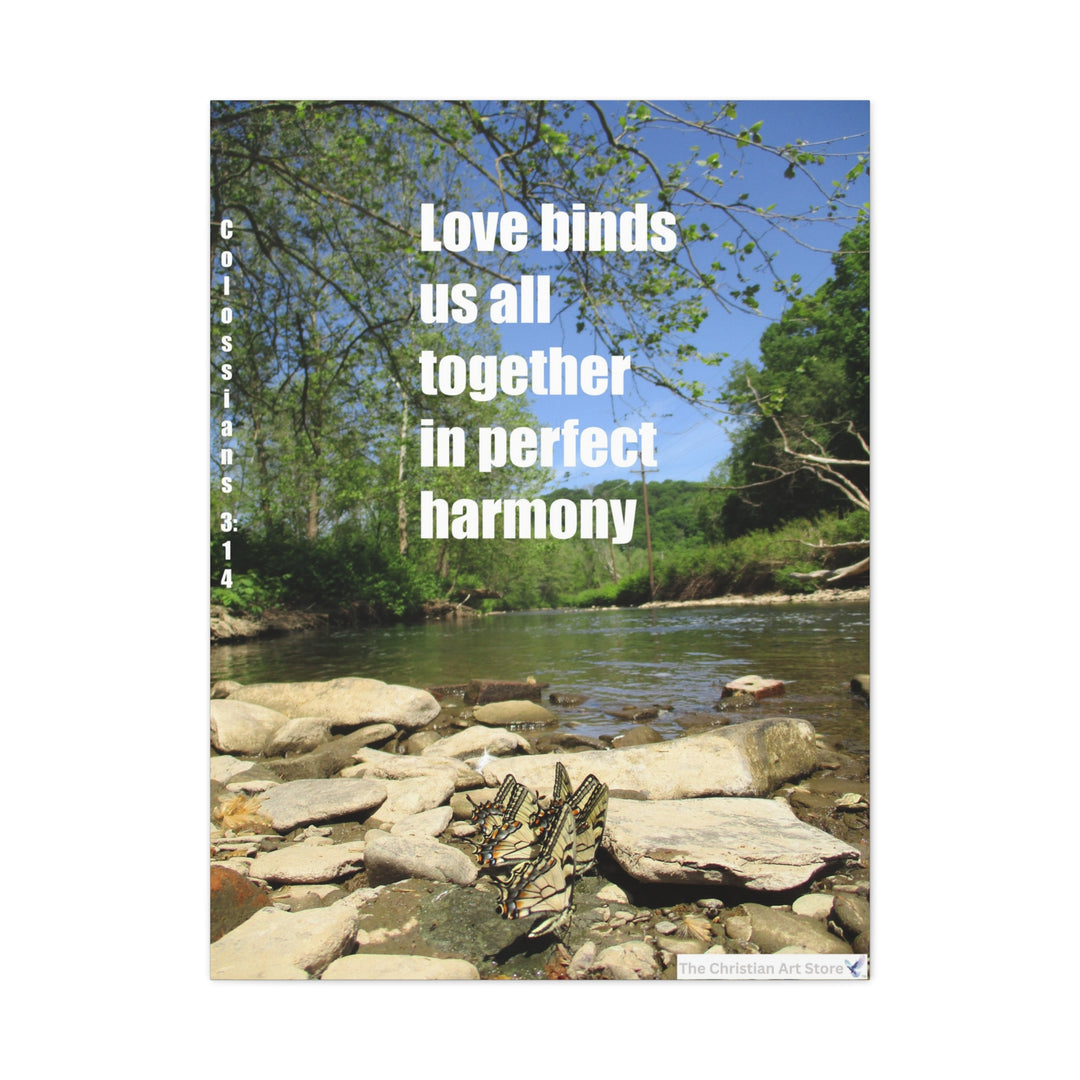 Colossians 3:14 Option 2 Canvas