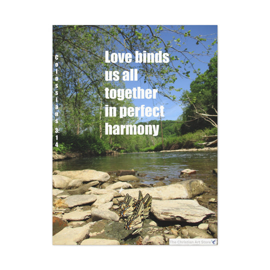 Colossians 3:14 Option 2 Canvas