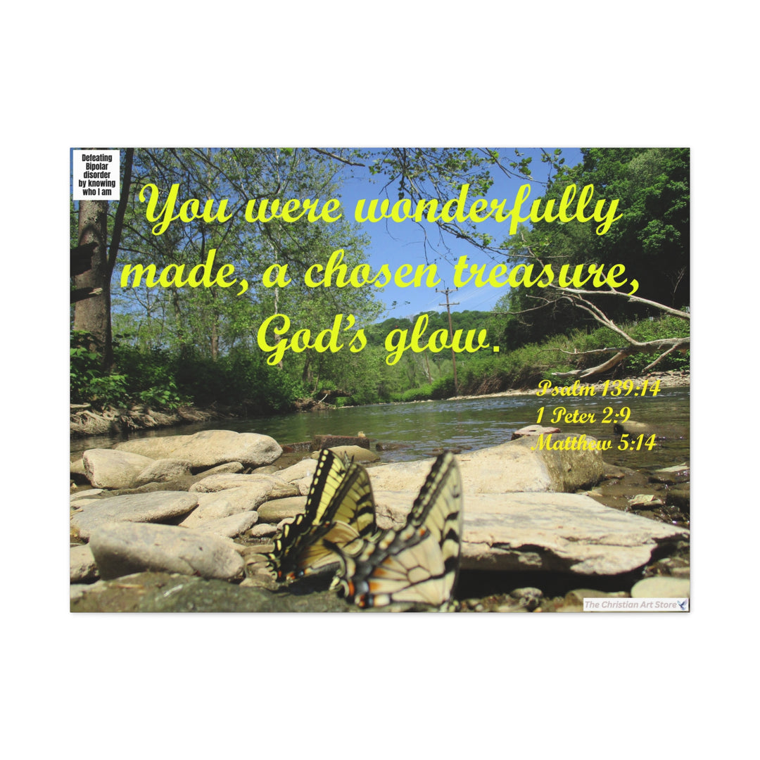 Defeating bipolar disorder canvas