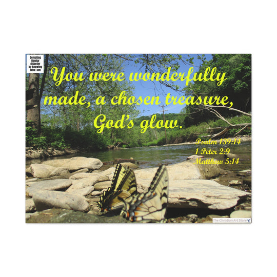 Defeating bipolar disorder canvas