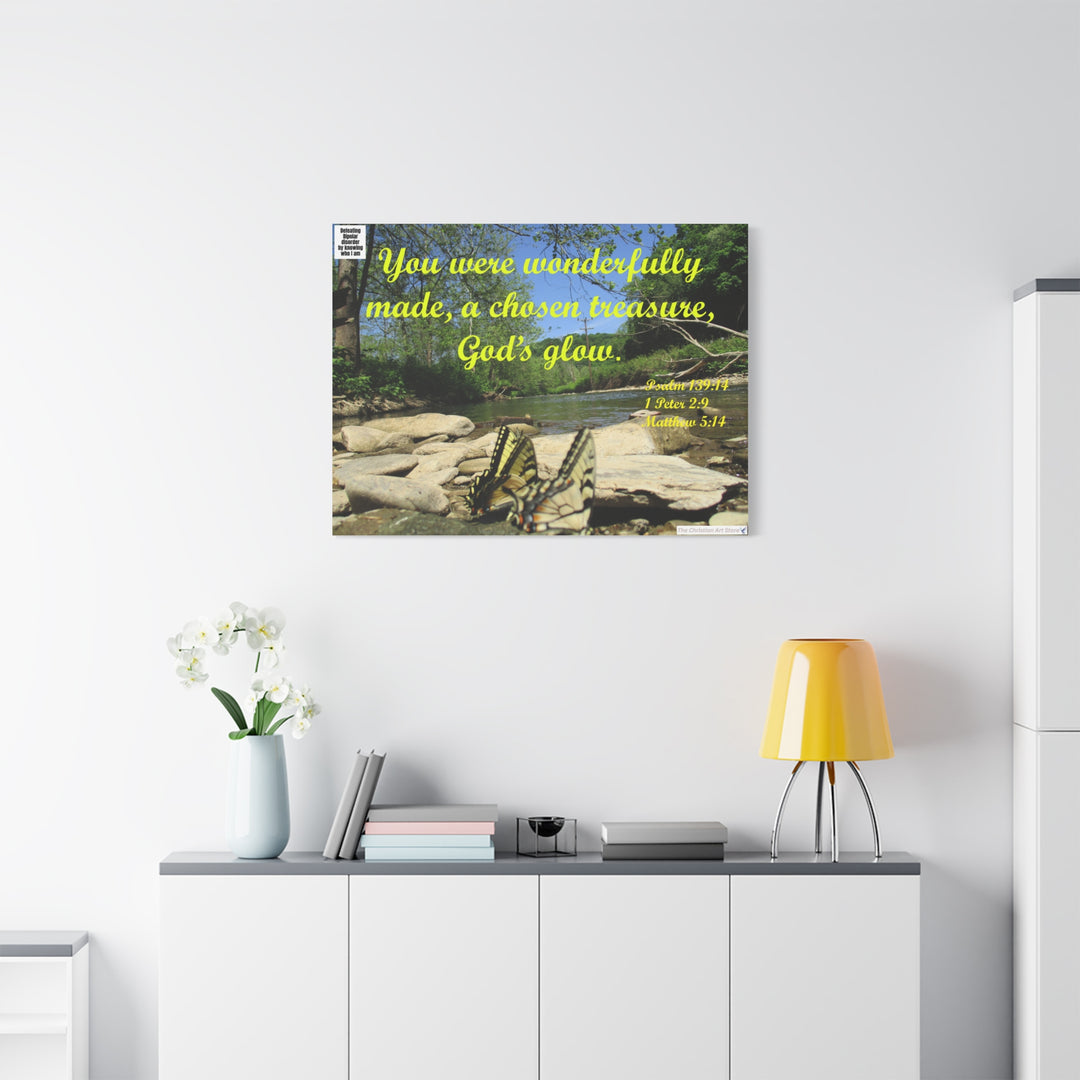 Defeating bipolar disorder canvas