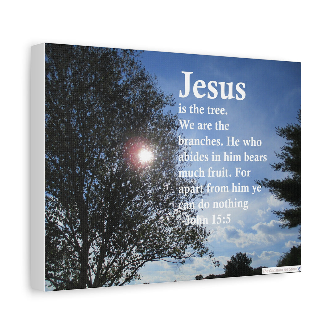 John 15:5 Canvas