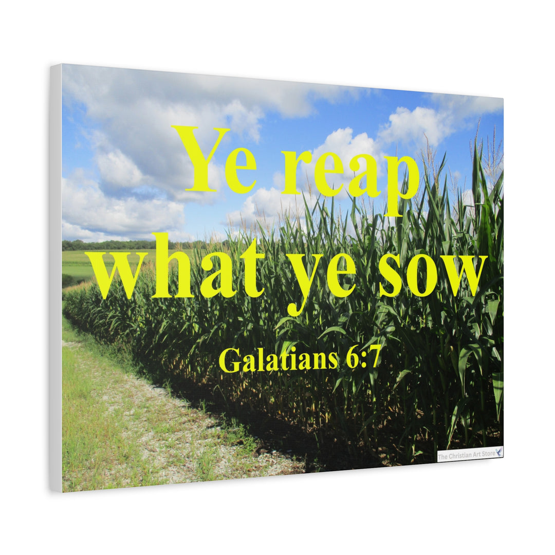 Galatians 6:7 Canvas