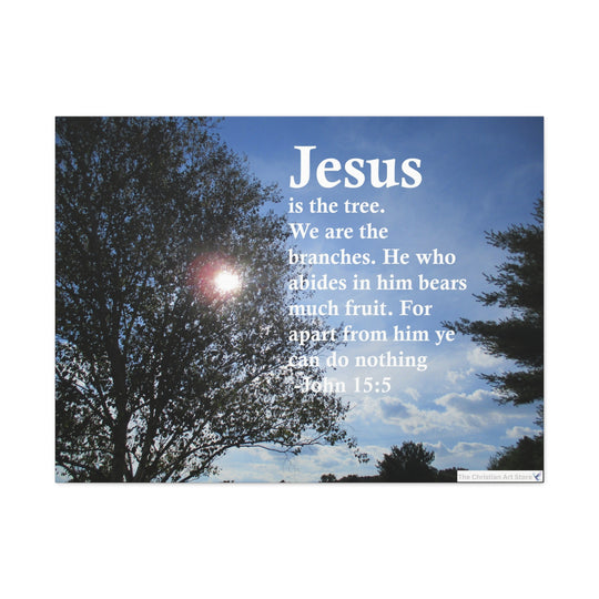 John 15:5 Canvas