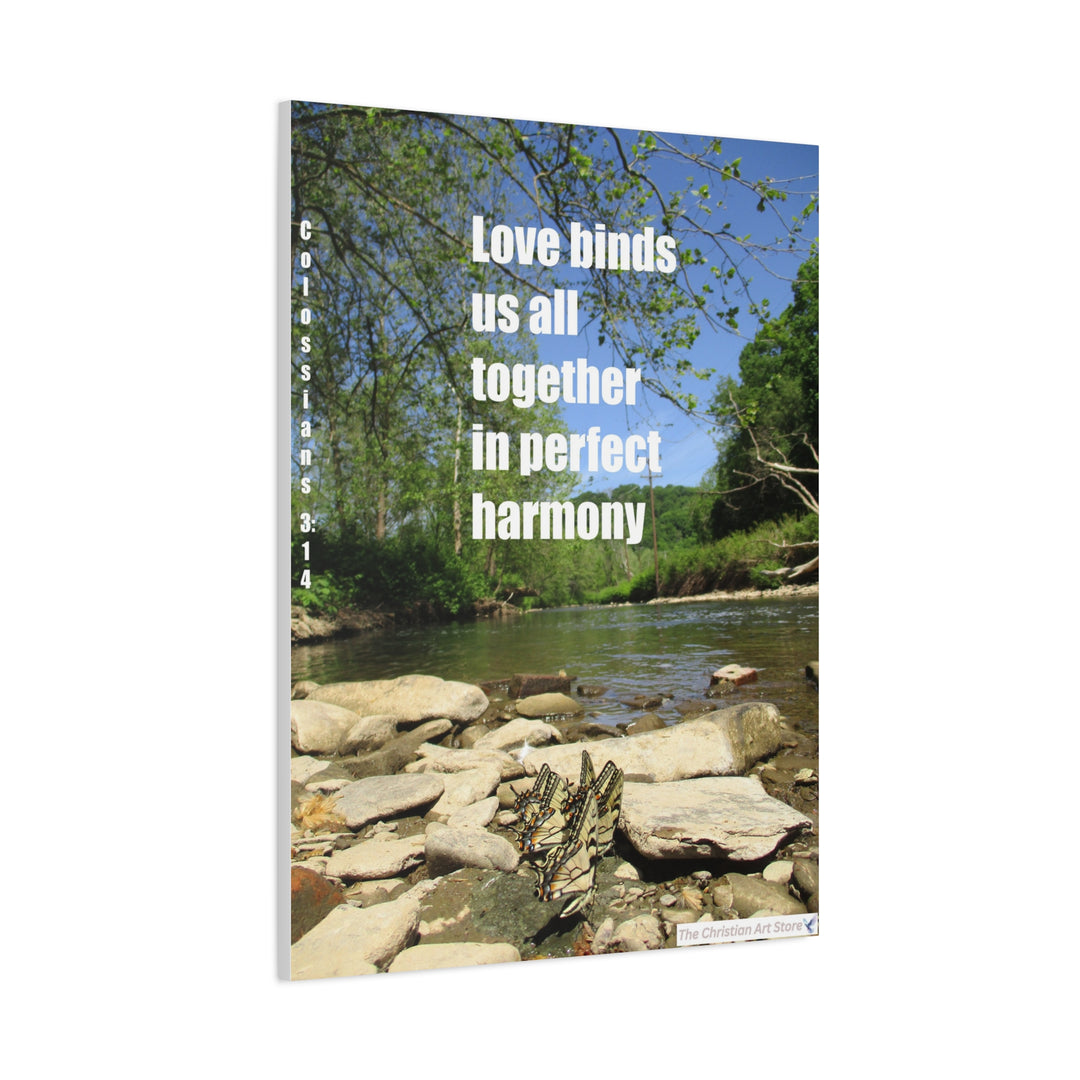 Colossians 3:14 Option 2 Canvas