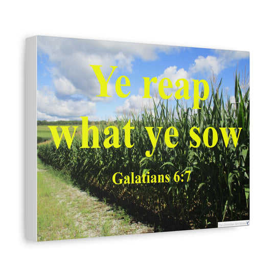Galatians 6:7 Canvas