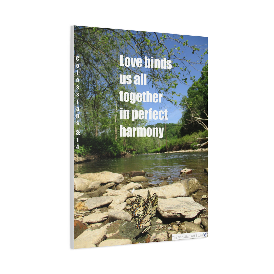 Colossians 3:14 Option 2 Canvas