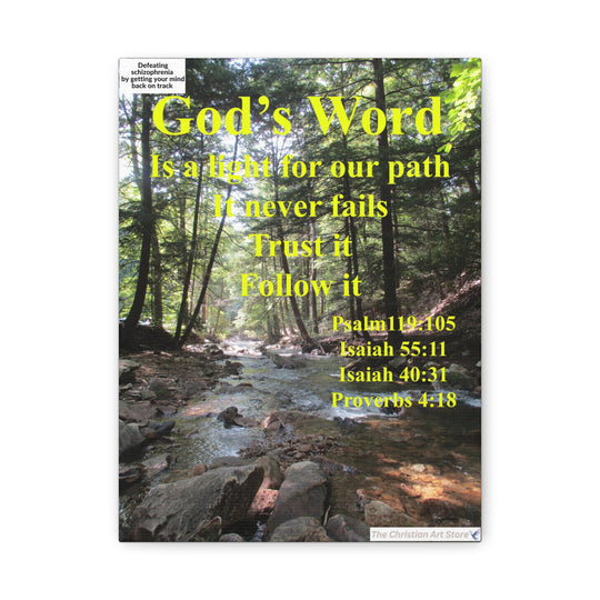 Defeating schizophrenia canvas