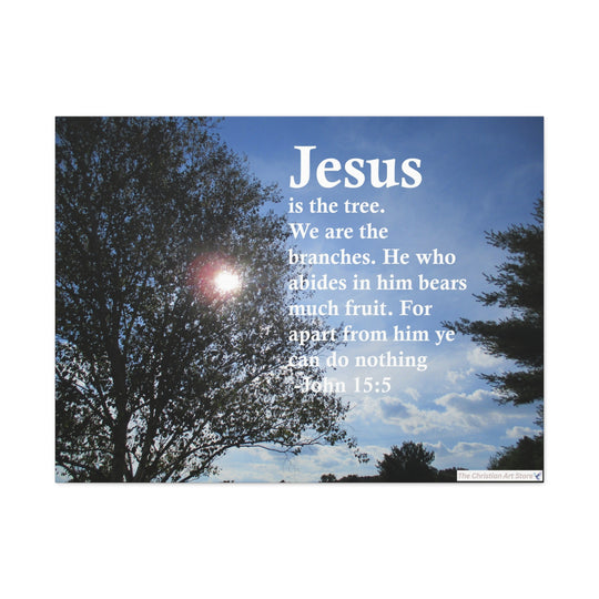 John 15:5 Canvas