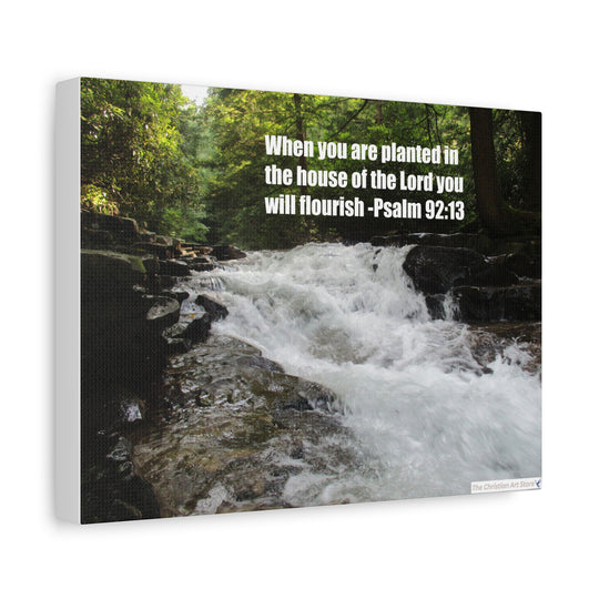 Psalm 92:13 Canvas