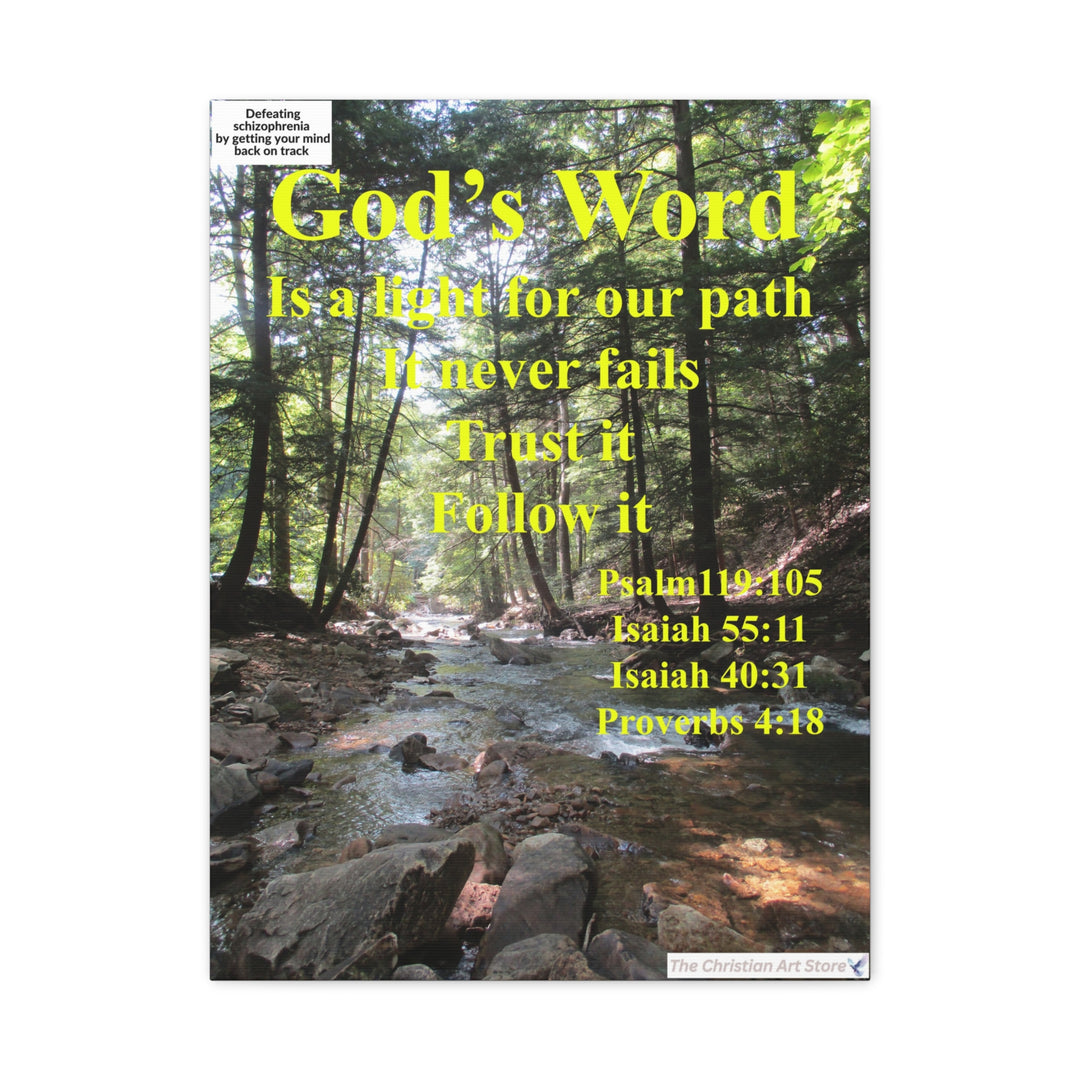 Defeating schizophrenia canvas