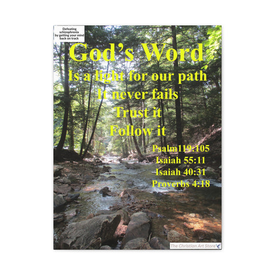 Defeating schizophrenia canvas