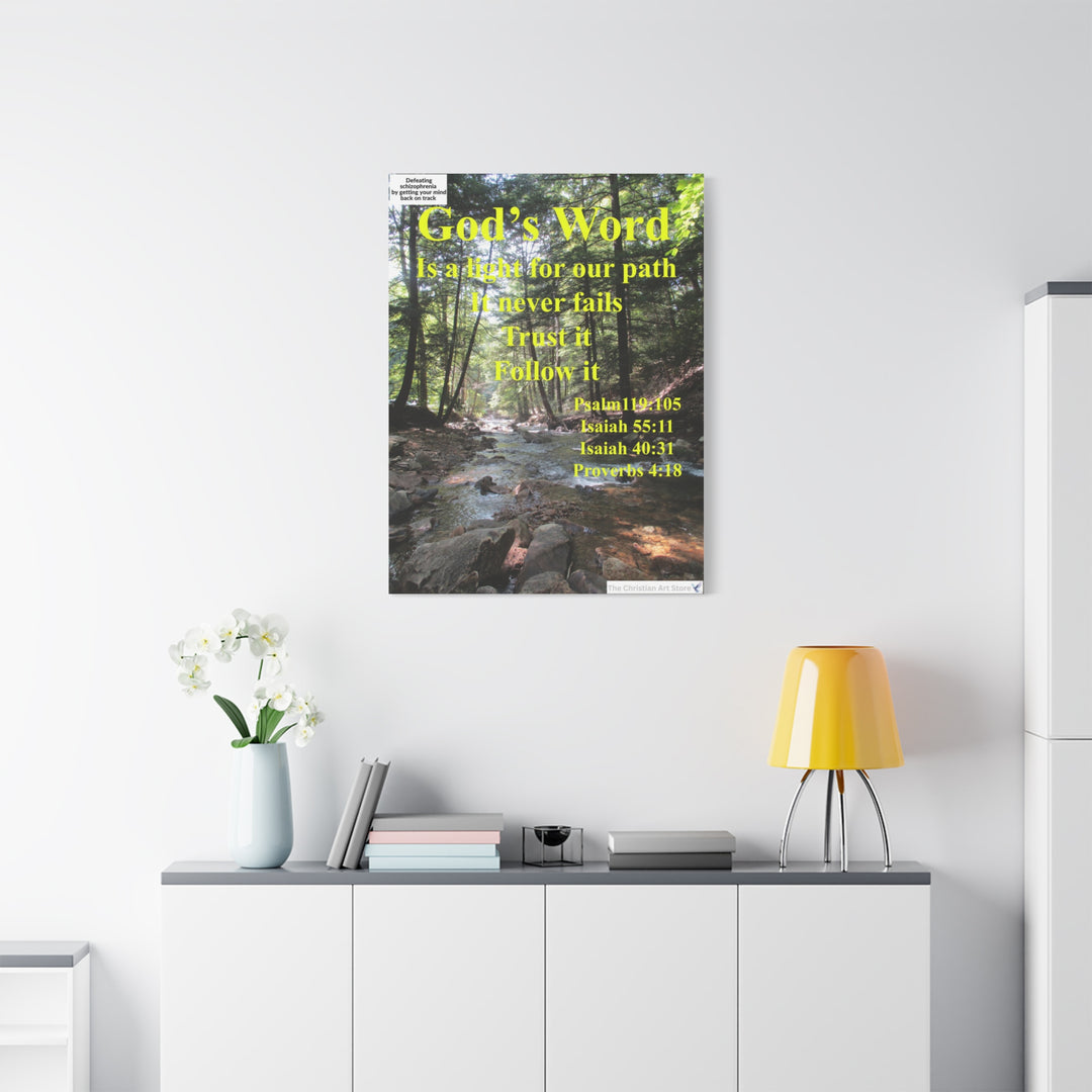 Defeating schizophrenia canvas