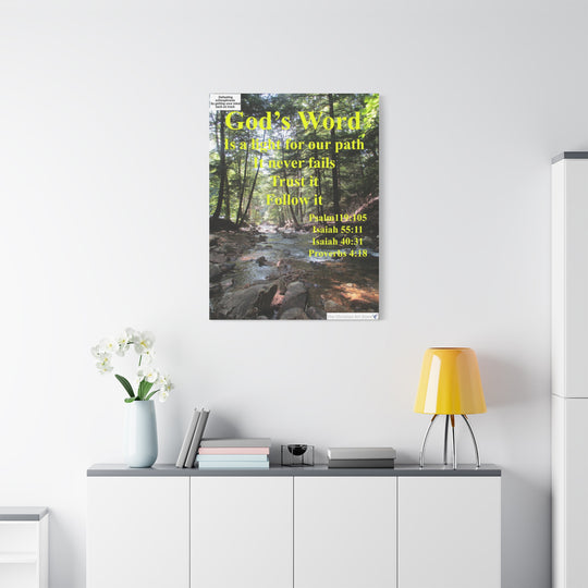 Defeating schizophrenia canvas