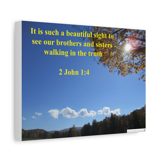 2 John 1:4 Canvas