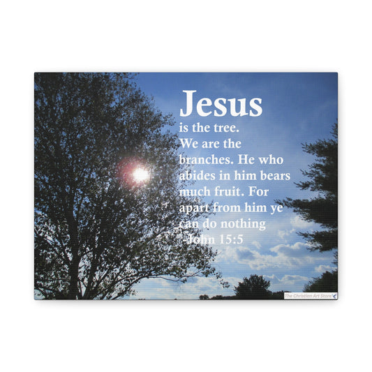 John 15:5 Canvas