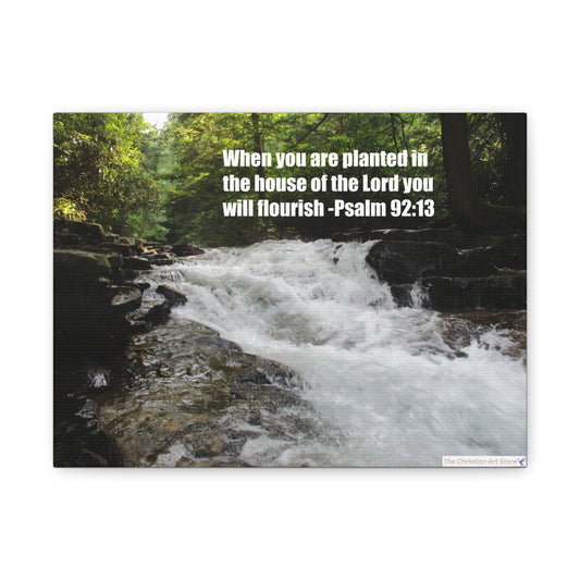 Psalm 92:13 Canvas
