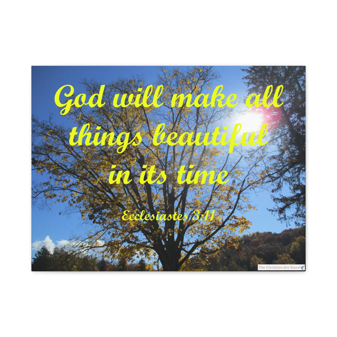 Ecclesiastes 3:11 Canvas